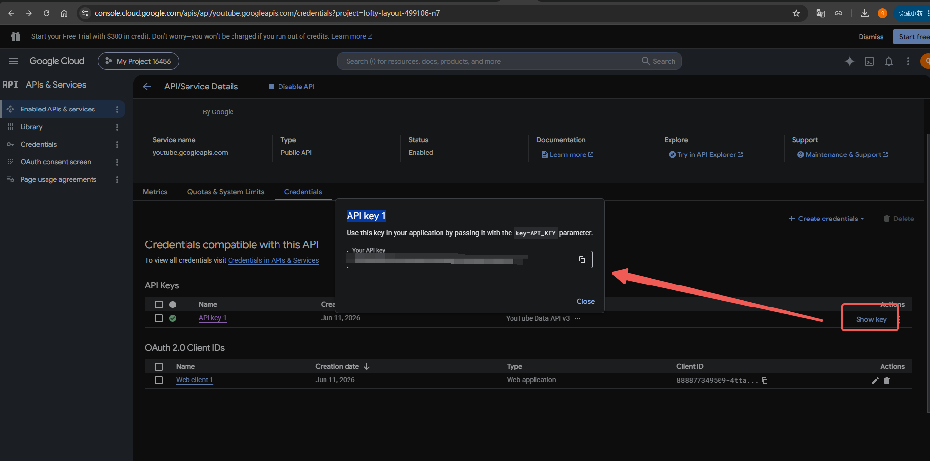 获取 Google Cloud API Key